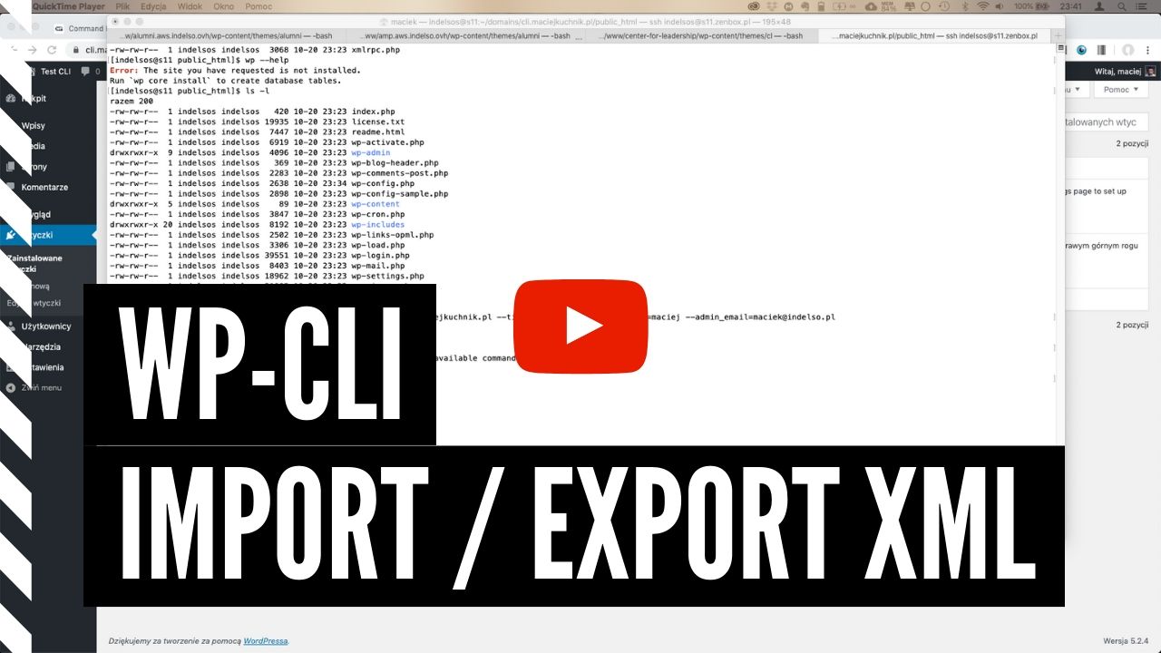 WP CLI – import / export XML