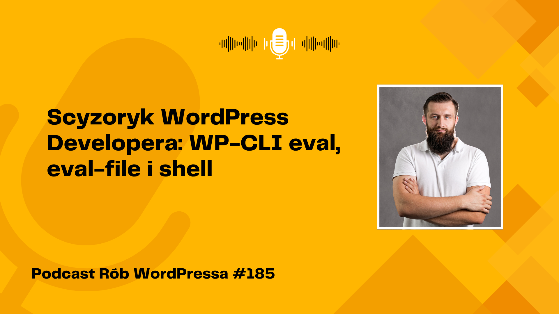 Scyzoryk WordPress Developera: WP-CLI eval, eval-file i shell